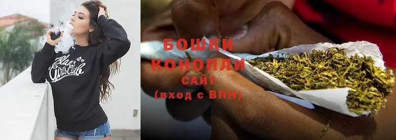 Канабис OG Kush  Октябрьский 